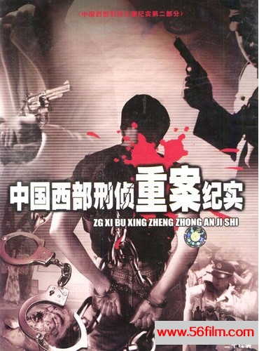 [中国][1999年][中国西部重案纪实][反恐破案][共20集][国语配音][DAT/每集约150M]