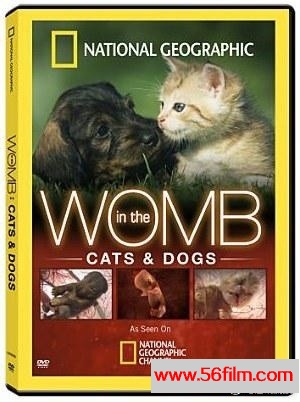 [2009][子宫日记：猫与犬 In the Womb: Cats and Dogs][RMVB][600M]