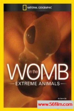 [2009][子宫日记：极端动物 In the Womb: Extreme Animals][RMVB][326M]