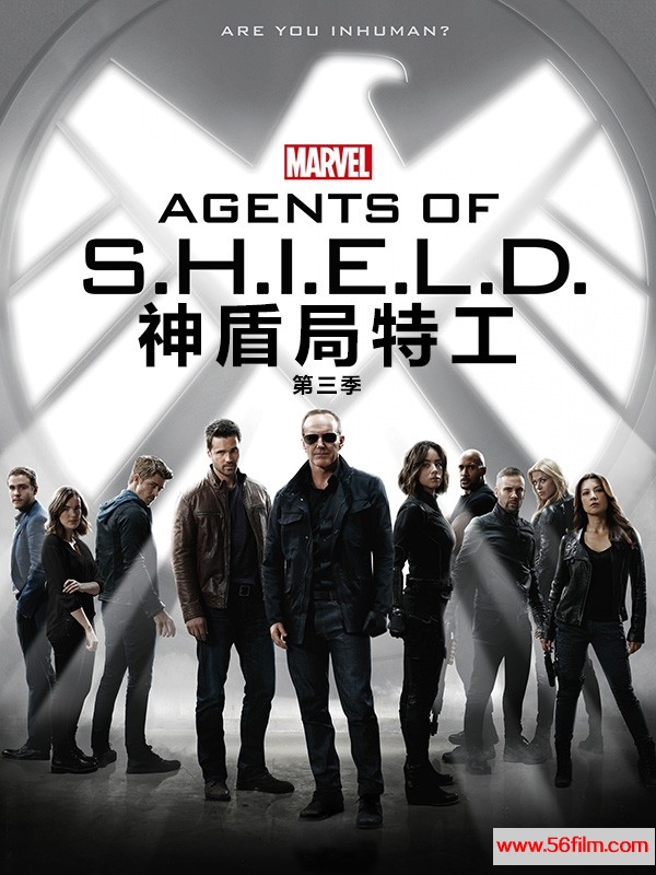 [美剧][2015][神盾局特工/Agents of S.H.I.E.L.D 第三季][剧情/科幻][22集全][英语中字][mp4/每集410M]