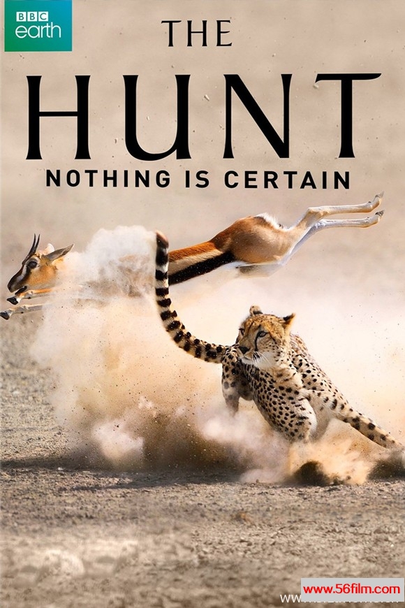 [英国][纪录][BBC纪录片][猎捕 The Hunt (2015)][全7集][国语中字][1080P高清纪录片]