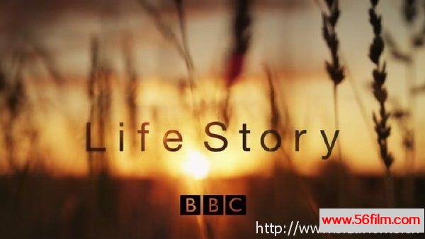 [英国][纪录][BBC纪录片][生命的故事/生命之旅/生命礼赞 Life Story][全6集][英语中字][MKV/1080P]