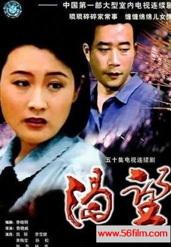 电视剧《渴望》[大陆][1990][国语无字][D5ISO17碟 原盘][全50集]