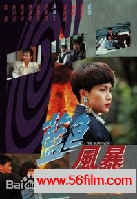 [百度云][TVB][1991][蓝色风暴][时装][国语无字][GOTV/ts][20集全/单集约800MB][邵美琪/罗嘉良/罗乐林/林尚武]