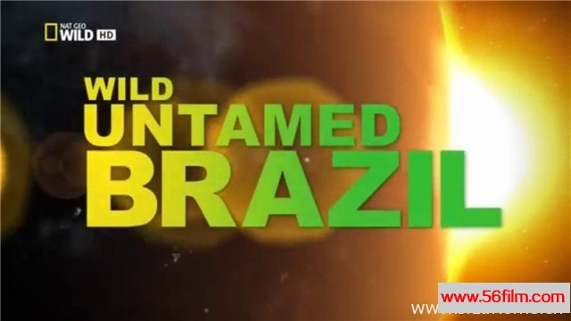 [美国][纪录][国家地理][野性巴西/狂野巴西 Wild Untamed Brazil][英语中字][MKV/720P]