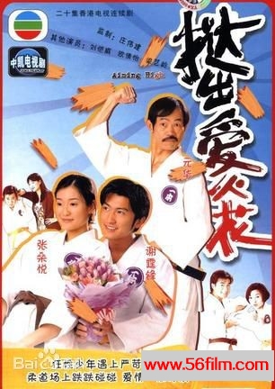 [TVB][2000][挞出爱火花][谢霆锋/元华/刘恺威][GOTV源码/TS][20集/每集830M左右][BD]