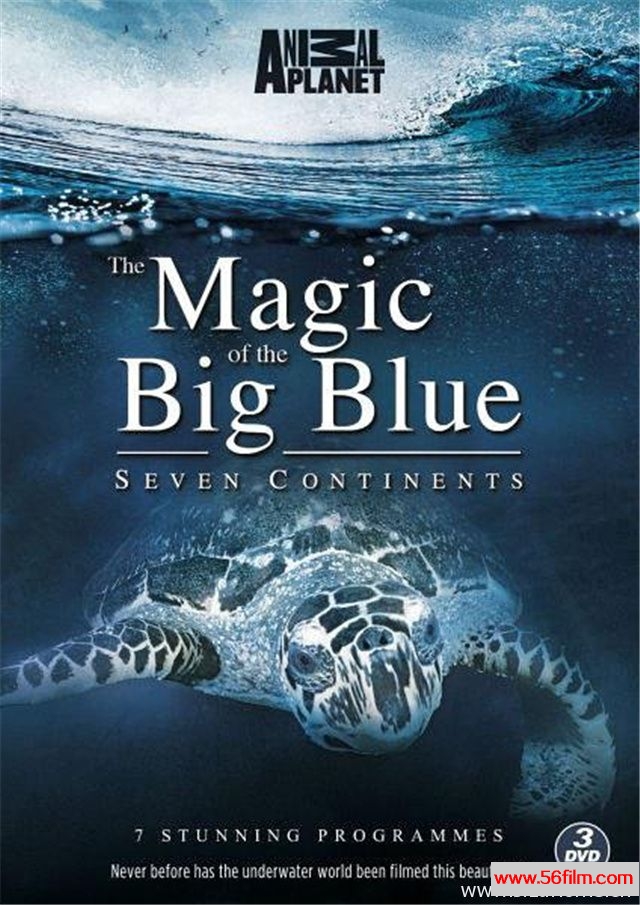 [美国][纪录][探索频道纪录片][神奇碧海/奇幻蔚蓝海 The Magic Of The Big Blue Seven Continents][全7集][英语