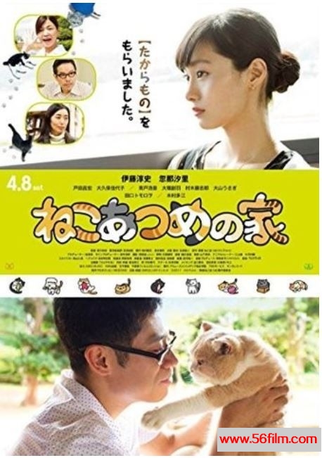 《猫咪后院之家》720p.BD高清中字 百度云网盘下载