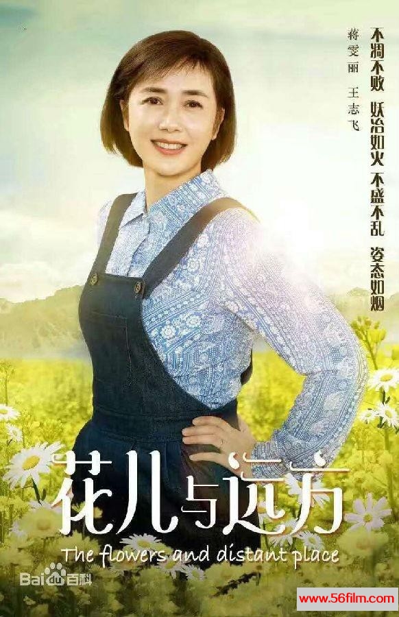 [中国内地][2017][情感][花儿与远方][国语中字][全46集][MKV-540P每集350M]