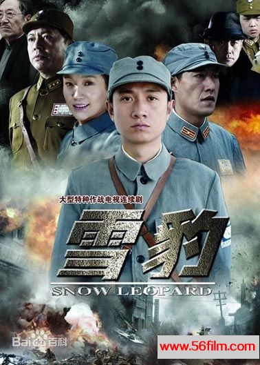 [百度云][中国内地][2010][雪豹][文章/朱杰/陶飞霏][国语中字][全40集][MKV/每集350M]