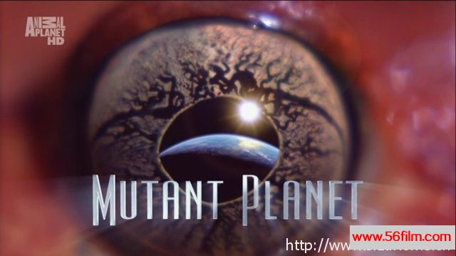 [美国][纪录][探索频道][变异星球 Mutant Planet][全6集][英语中字][22.81G/MKV/1080P]