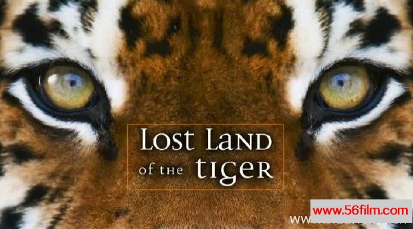 [英国][纪录][BBC纪录片][老虎失落之地 Lost Land Of The Tiger][英语中字 5.16G/MKV/720P高清]