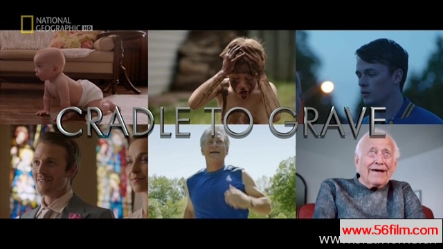 [美国][纪录][国家地理][一生一世 Cradle To Grave][英语中字][TS/1080P]