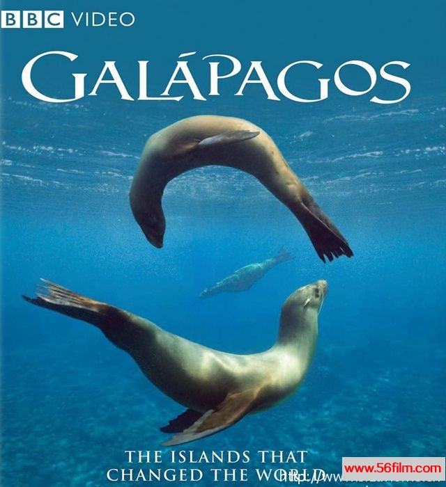 [英国][纪录][BBC纪录片]加拉帕戈斯群岛 Galapagos][英三语中字][13.1G/MKV/1080P]