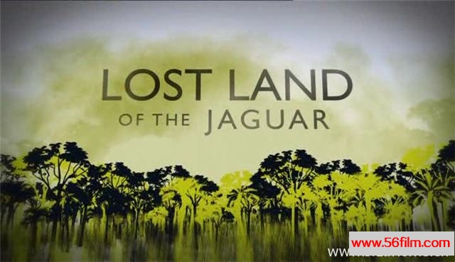 [英国][纪录][BBC纪录片][失落之地・扎瓜 Lost Land Of The Jaguar][全3集][英语中字][4.46G/MKV/720P]