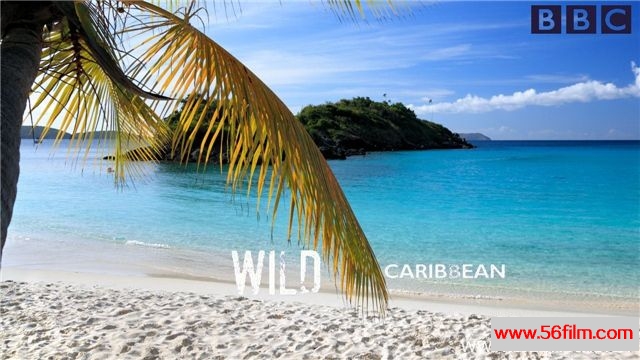 [英国][纪录][BBC纪录片][野性加勒比 Wild Caribbean][全4集][英语中字][4.26G/MKV/720P]