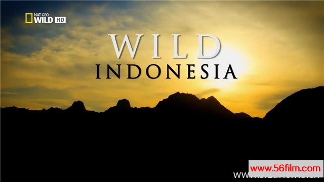 [美国][纪录][国家地理][印尼野生大地 Wild Indonesia][英语中字][13.35G/MKV/1080P]