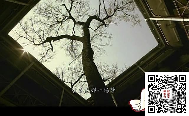 历史的背后_01_20200105130840.JPG