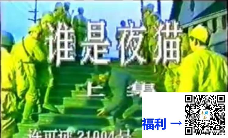 1991-谁是夜猫-国语无字-MPG-1G