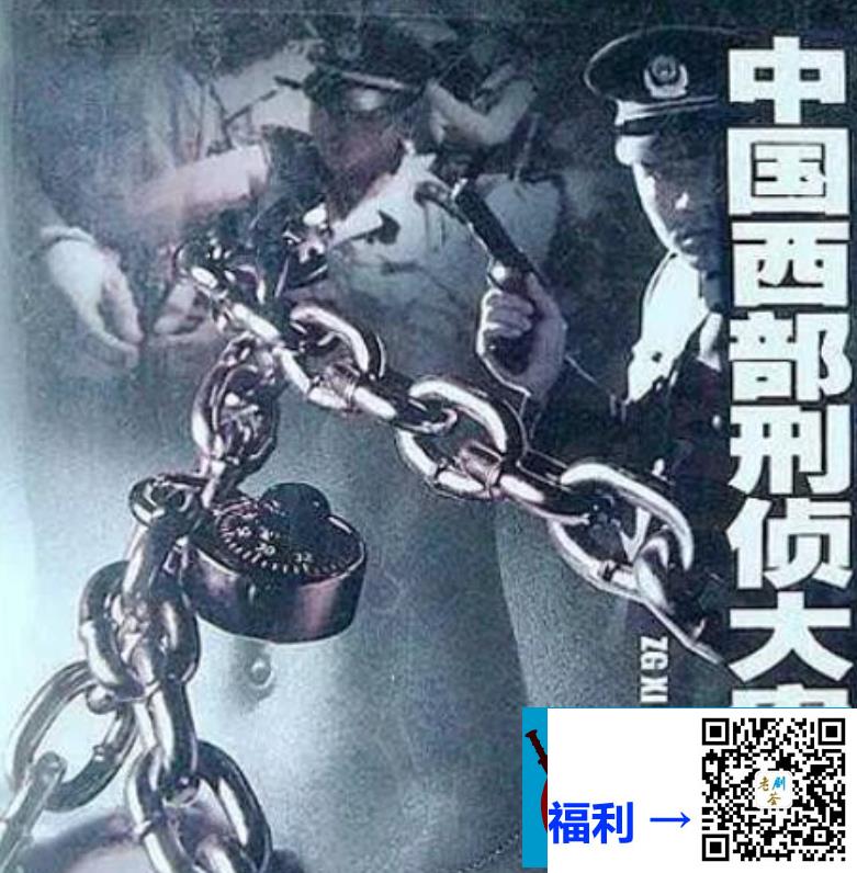 2001-中国西部刑侦大案纪实-国语中字-全20集-VCD-DAT-7.86G