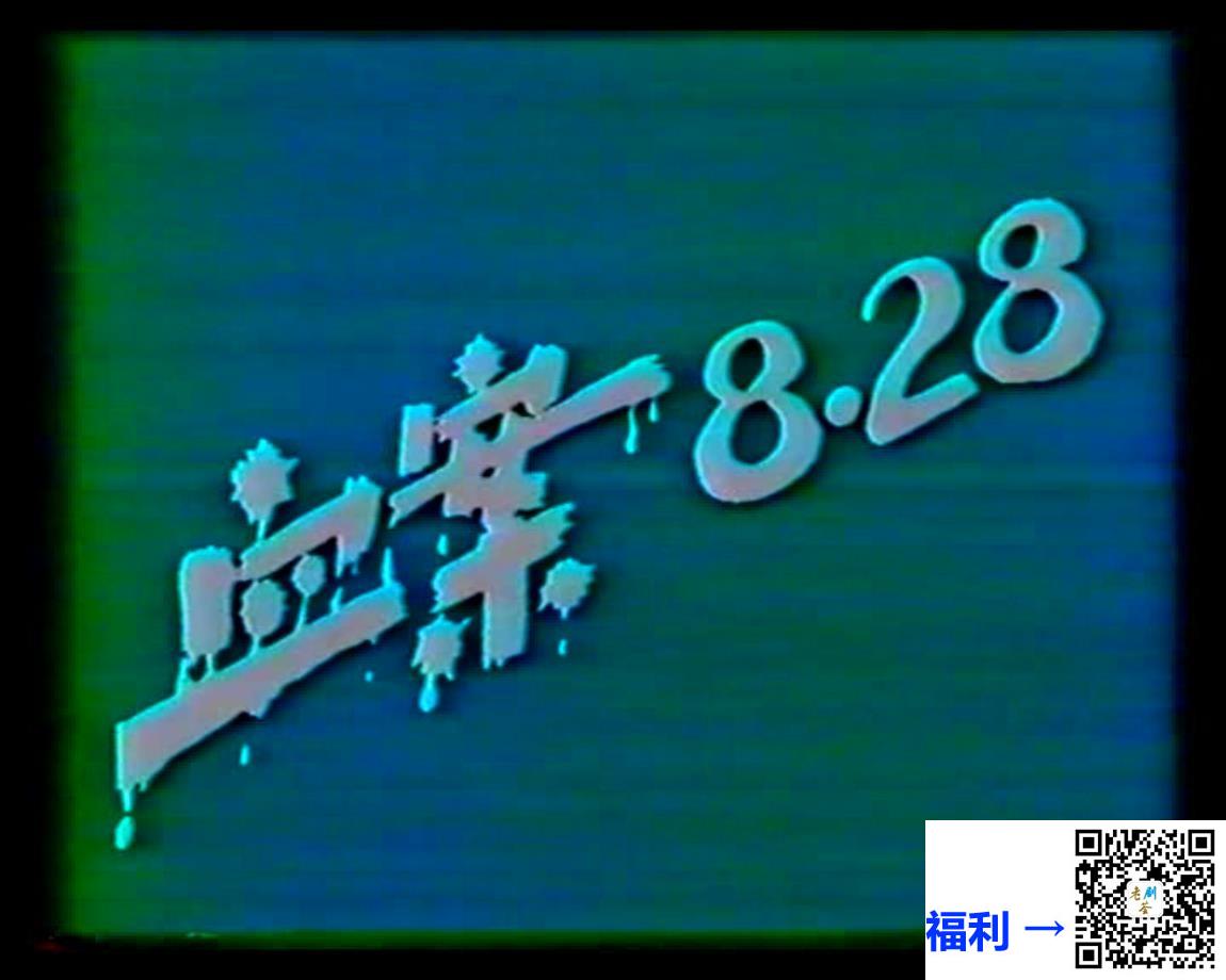 年代不详-血案828-4集全-国语无字-MPG-1文件9.33GB录像带源码