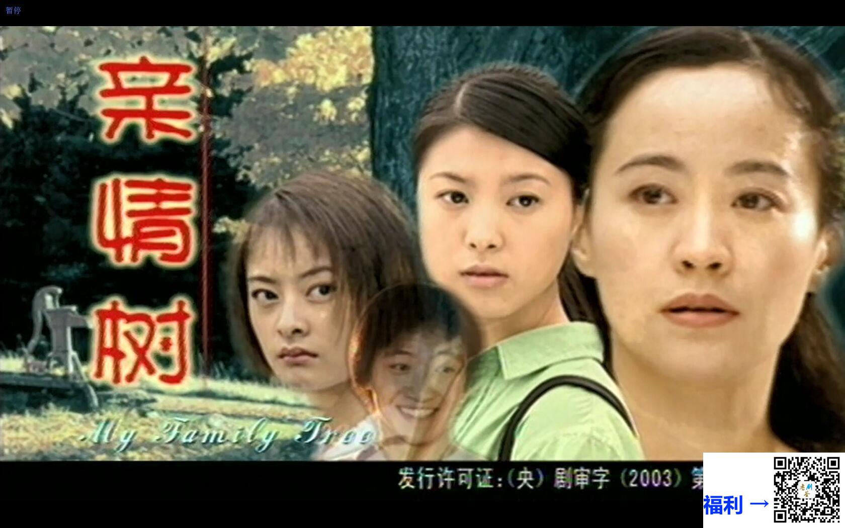 2004-亲情树-剧雪-董勇-全26集-国语中字-DVDRipX264.AAC.MKV-23.3G-1024x576