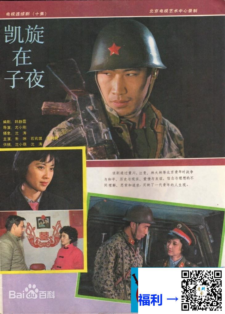 1987年-在子夜--石兆琪-王向明-杜子君-11集全-国语中字-5DVD5-共20G