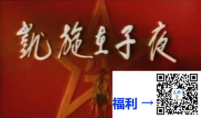 1987-凯旋在子夜-朱琳-石兆琪-王向明-杜子君-黄涛-11集全-国语无字-flv-每集约200M