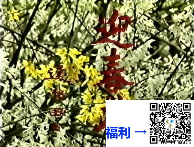 1995-迎春花-李琳-22集-国语无字-MPG52.3G-录像带源码