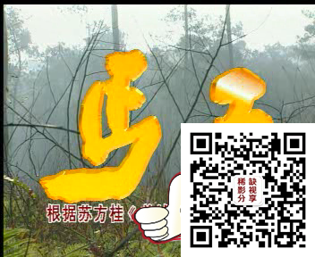 丐王01[00_01_00][20200205-185442-0].PNG