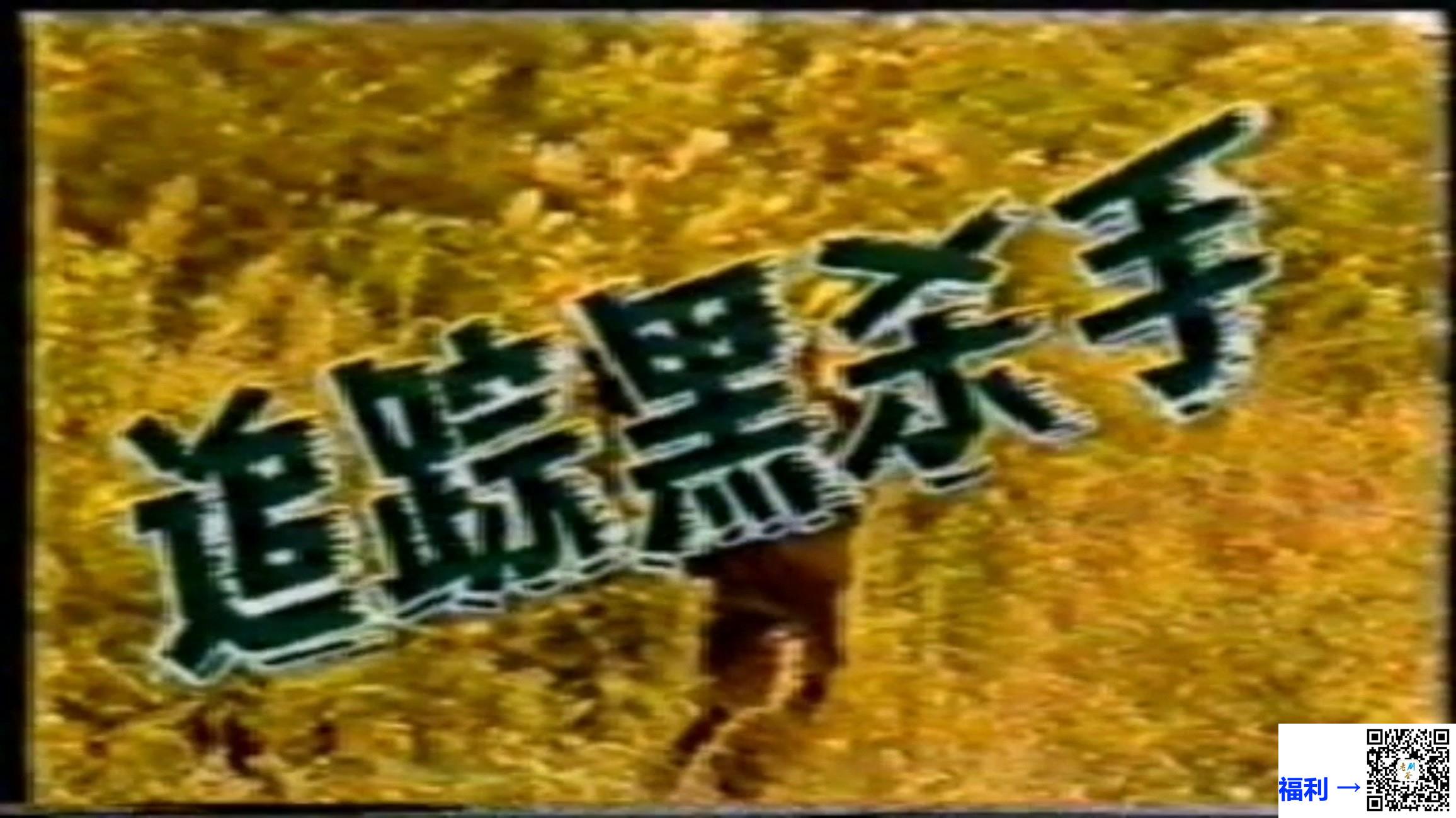 年代1991-追踪黑杀手-国语无字-MPG-4.1G-绝版录像带