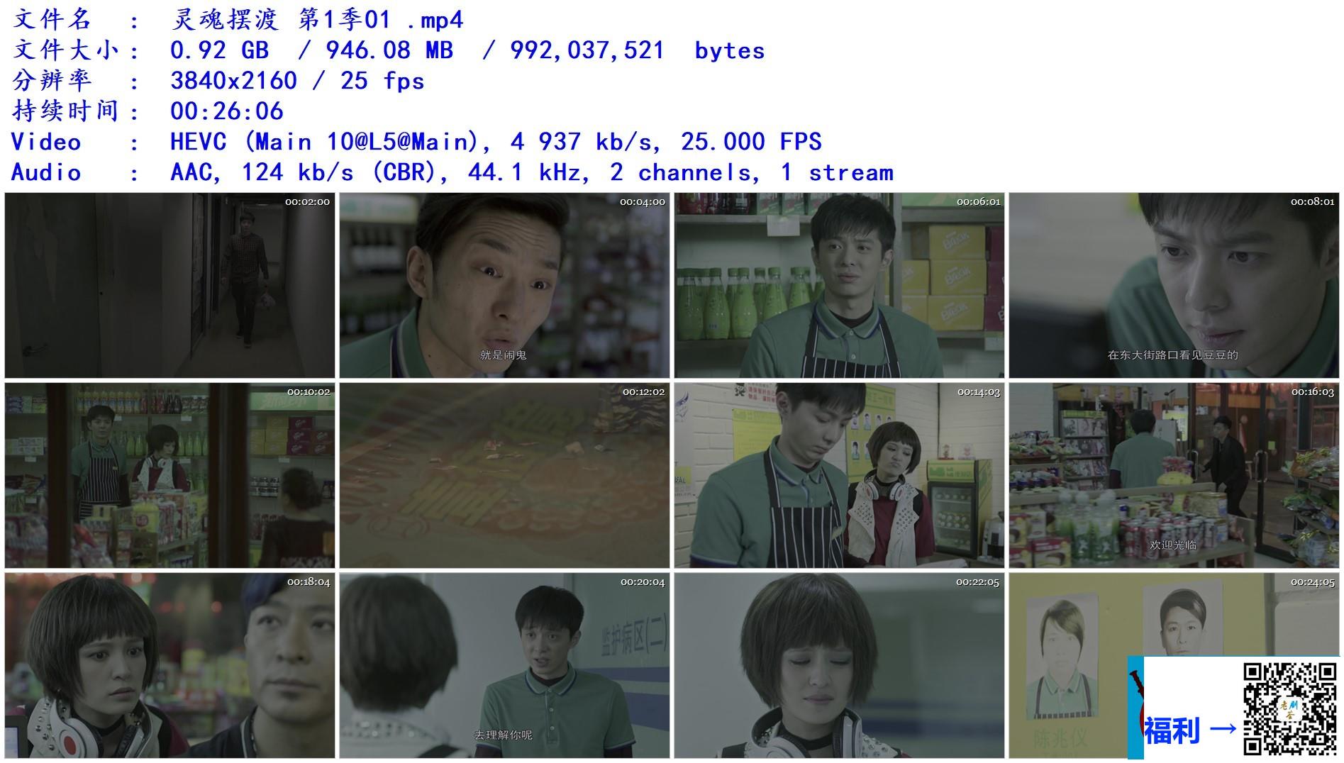 2014-灵魂摆渡-于毅-肖茵-刘智扬-共20集-国语-简中-mp4-1GB-2160p-无台标