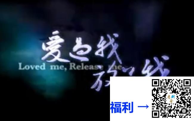 2010-爱过我，放了我-21集-国语中字-VCD-DAT-每集约500M