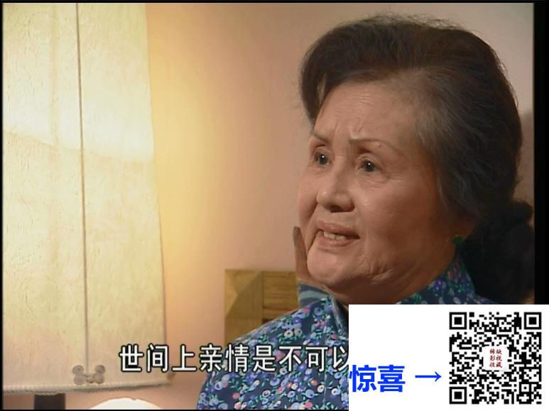 大陆-1996-欢乐家庭-20集-国语中字-576p-11.63G