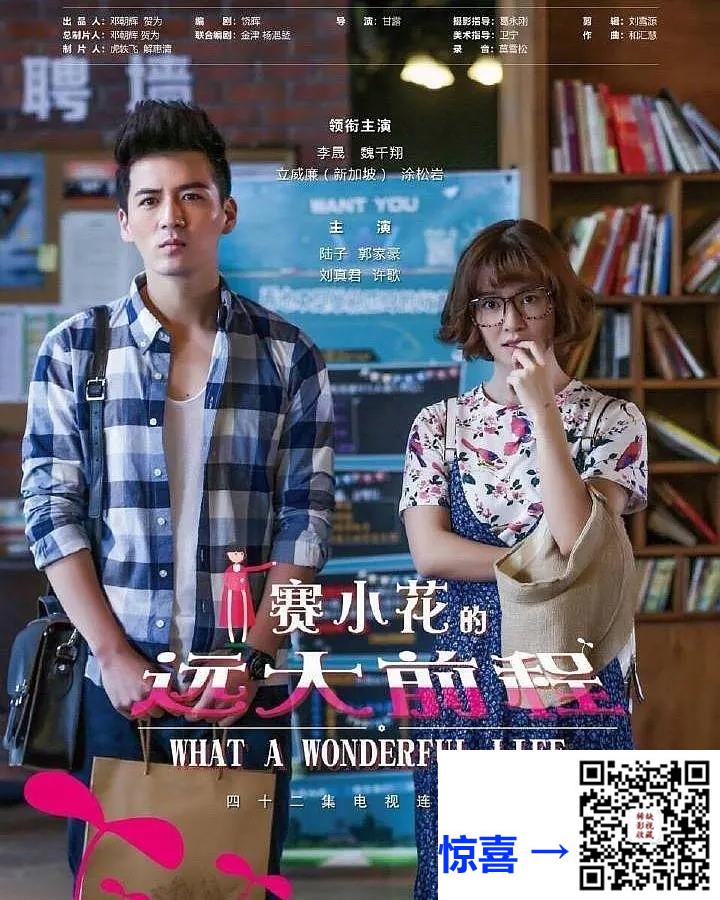 2017-赛小花的远大前程-李晟-42集-1066mp426.07G-国语中字