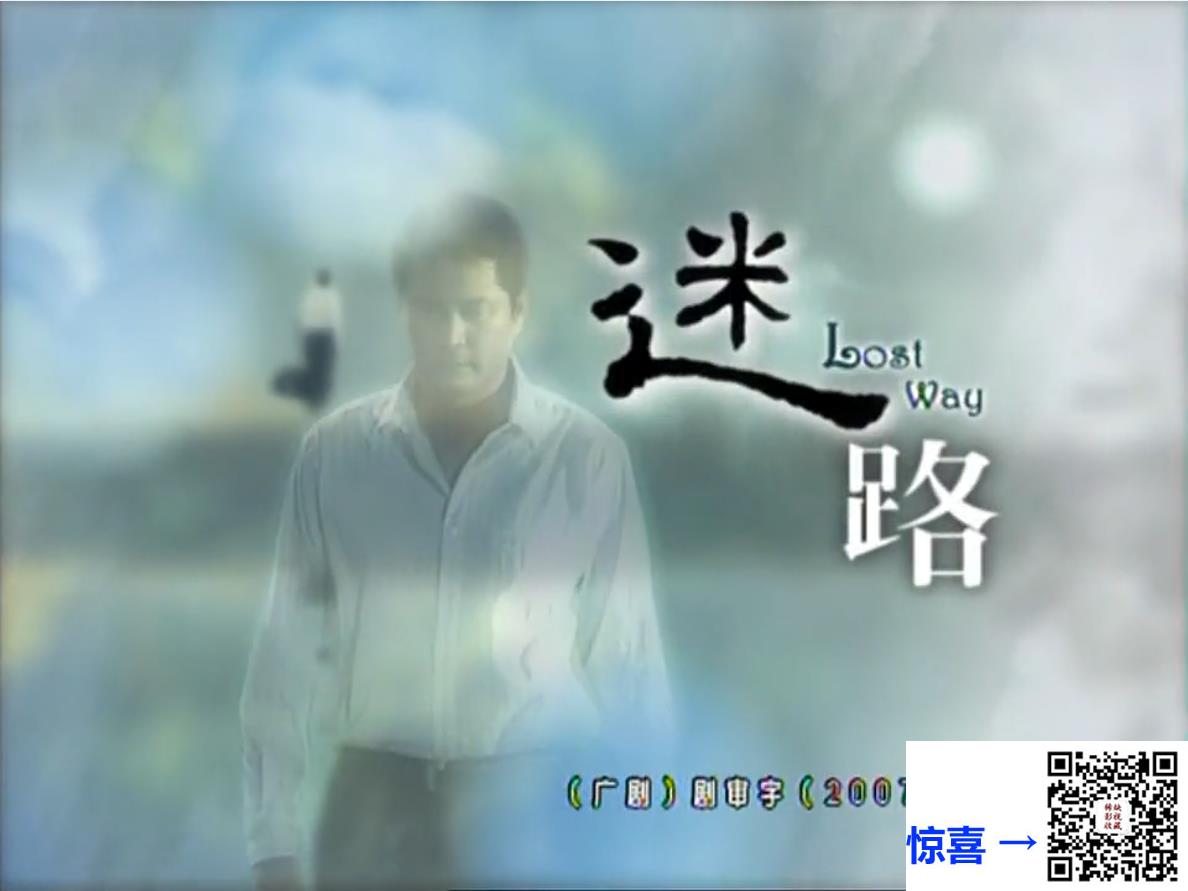 2007-迷路-李宗元-申爱-陶慧敏-20集-国语中字-MKV-30.81G-720P