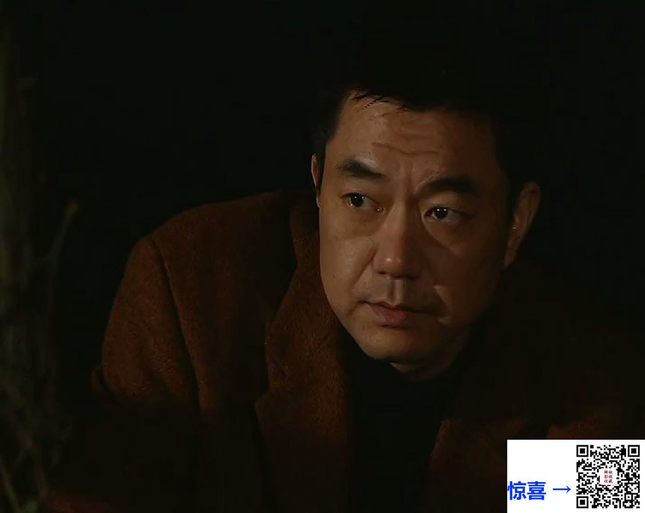 2008-美丽背后（代号美女蛇）-国语中字总25集-MP4-250M-集总5.8G-徐永革-王诗槐-傅斌-百度网盘