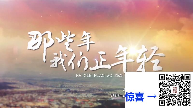剧情-爱情-2018-那些年，我们正年轻-杨烁-苏青-练练--45集-国语中字-mp41080p-15.3g