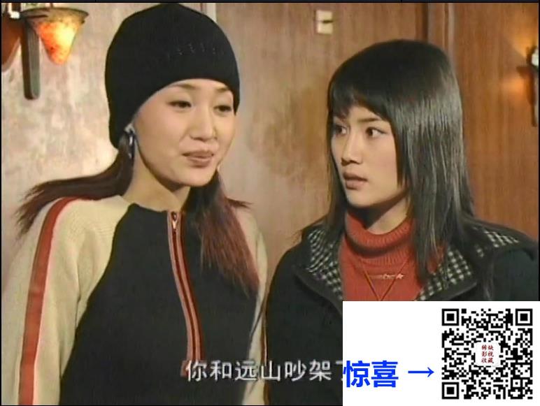 大陆-2004-春夏秋冬-20集-576p-国语中字-MKV-10G