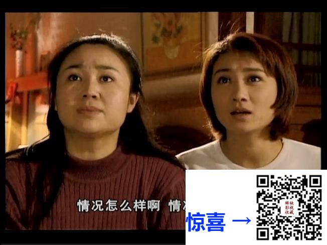 大陆-2008-善有善报-20集-480p-国语中字-TS-4.76G