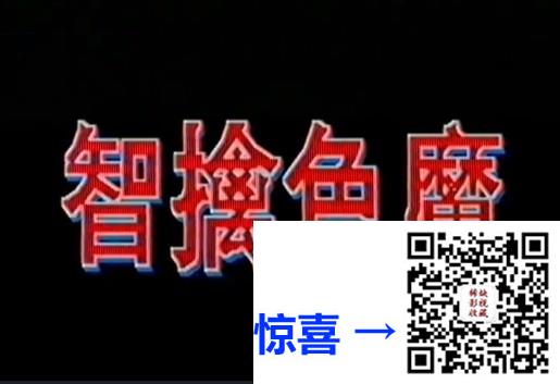 录像带-大陆-年代不详-智擒色魔-绝版录像带转录MPG版-3.91G