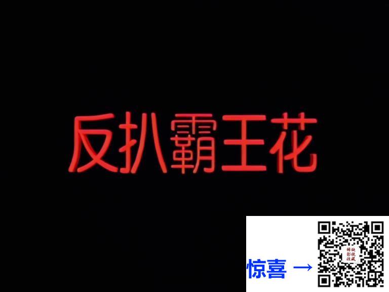 1999-女子反扒队-反扒霸王花-刘佳-国语无字-18全集25.2G高清修复版.768*576.MP4