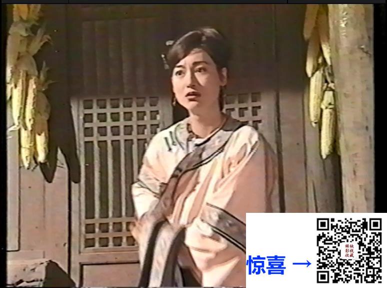 1997-太极宗师-吴京-28集-国语无字-576P-95.28G-录像带源码