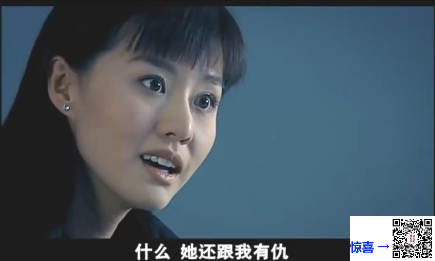 2004-刑警使命-吴越-孙淳-柳云龙-共28集-国语中字-MP4每集均约300M-共8.5G-1440x866