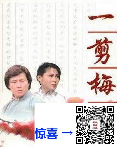 百度-1984-怀旧剧场：一剪梅-25集全-国语无字-MKV-9.8GB-576p.x264.50fps