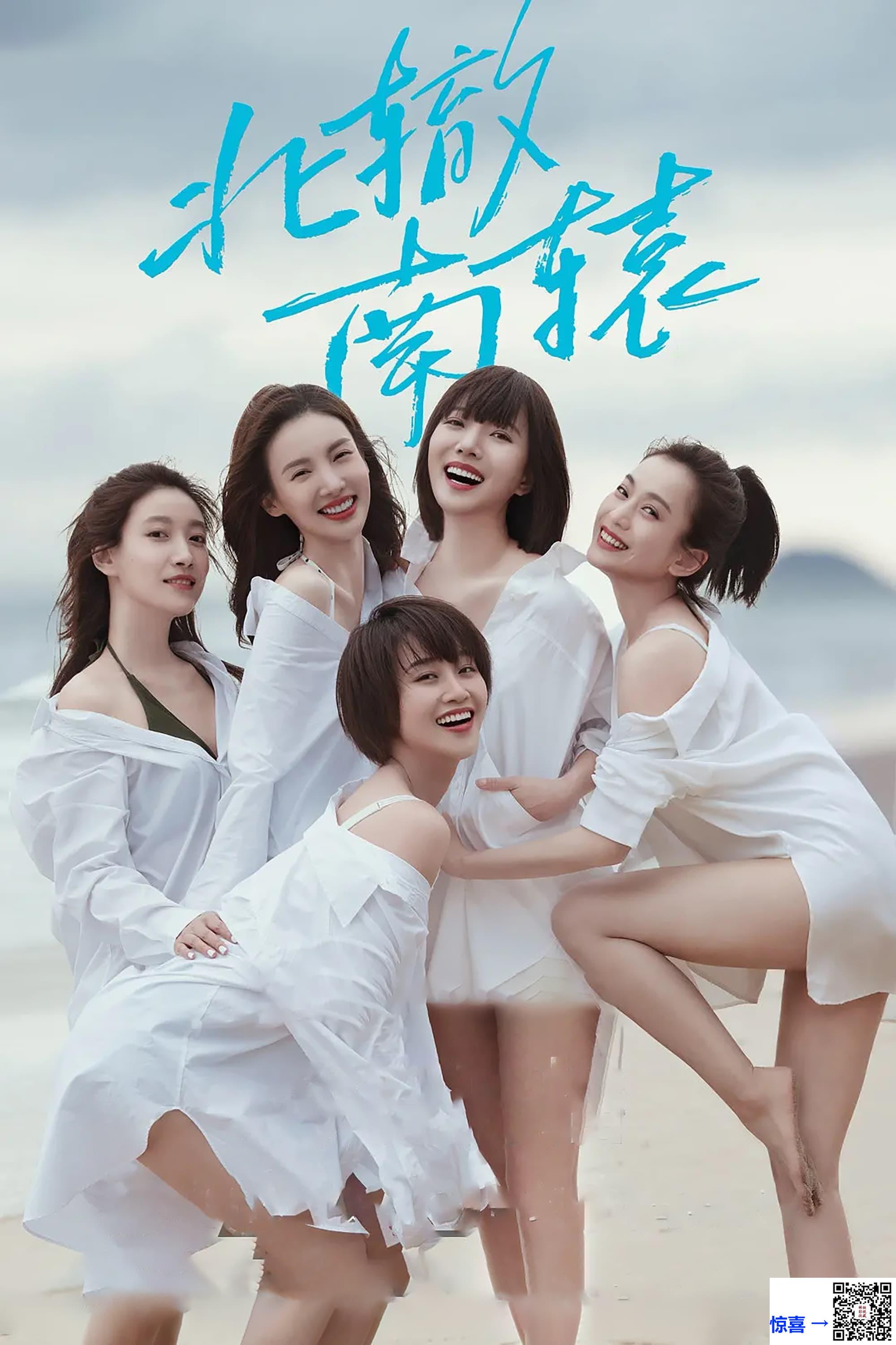 2021-北辙南辕-蓝盈莹-金晨-啜妮-共30集-国语中字-MP4每集均约400M-共17.06G-1080P-无水印