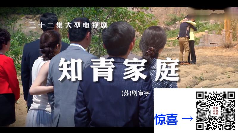 2015-都市-情感-知青家庭-32集-任程伟-李琳-杨梅-mkv1080p-国语中字-16.7g