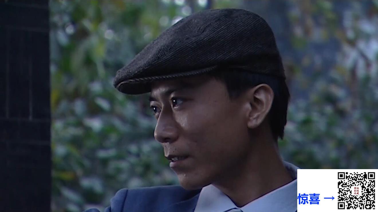 2011-间谍迷城-国语无字总24集-MP4-1100M-集总28.8G-赵泰翔-李鉴秋-赵汉君-百度网盘