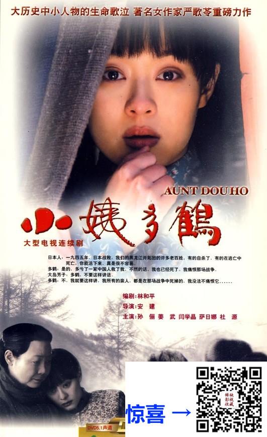 2009-小姨多鹤-孙俪-姜武-闫学晶-共34集-国语-中英文字幕-MP4每集均约1.17G-共57.04GB-1080P-无水印纯净版