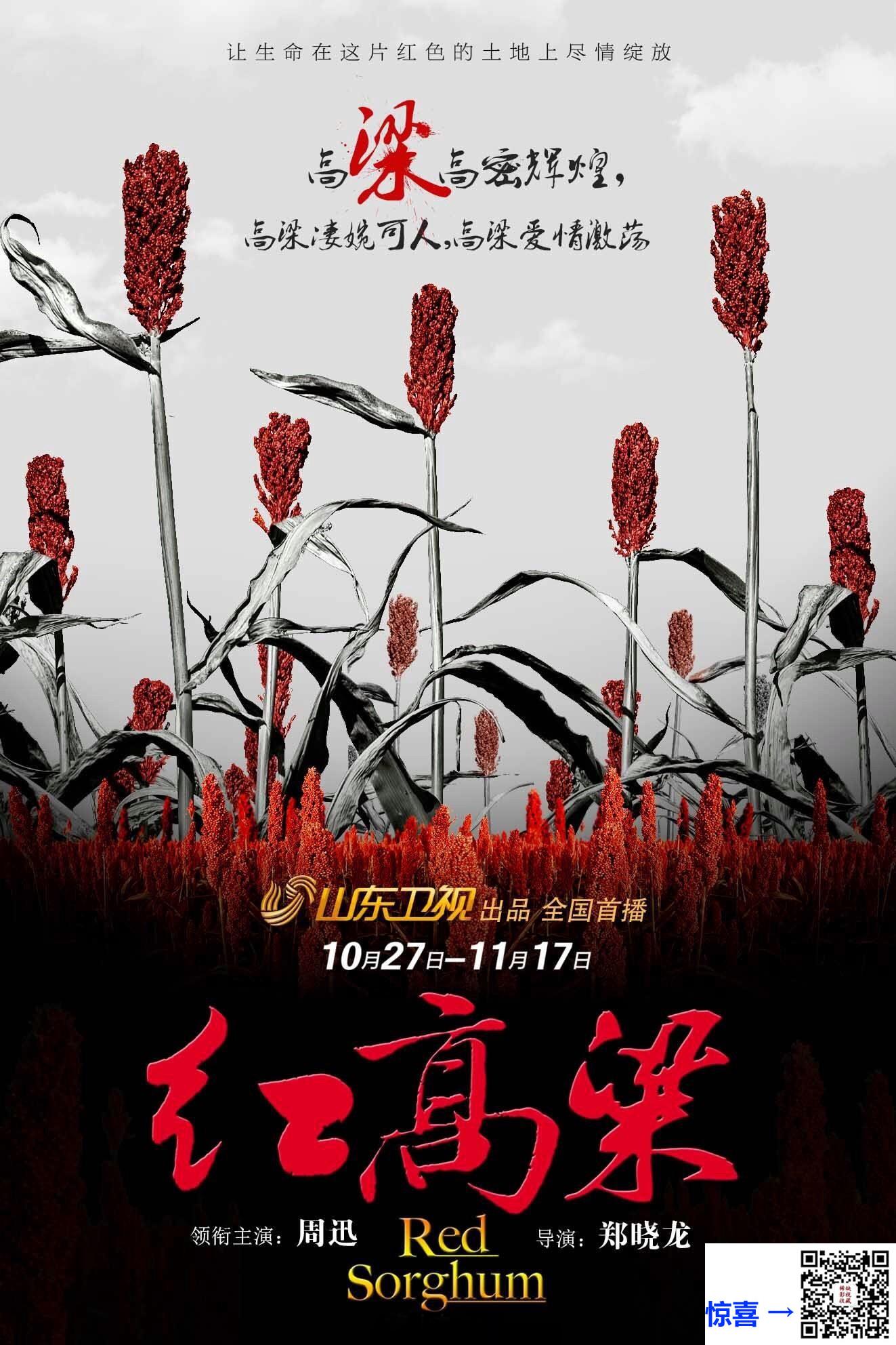 2014-红高粱-周迅-朱亚文-于荣光-共60集-国语中字-MP4每集均约4.55G-共272.26G-1080P-高清源码
